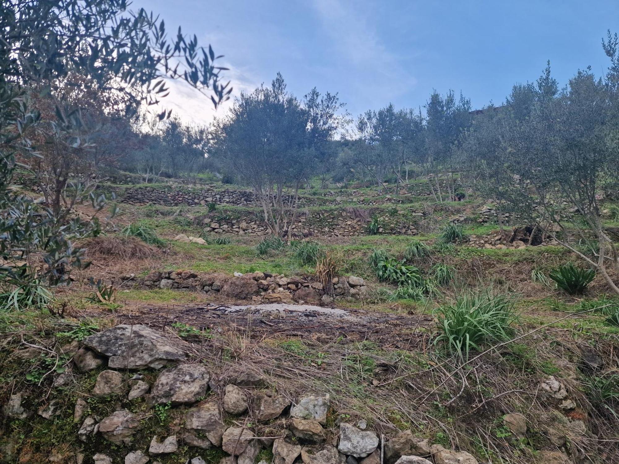 Archontoula'S Villa Flomochori المظهر الخارجي الصورة